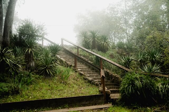 Staircase in nature reflecting spiritual maturity and emotional maturity